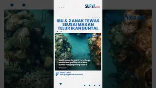 GEGARA Ikan Buntal Ibu dan 2 Anak di Maluku Tengah Tewas seusai Konsumsi Ikan Buatan Sang Suami [upl. by Watters]