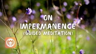 Guided Meditation on Impermanence  Brother Bao Tich [upl. by Ahmad]