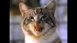 80s Ads Friskies Cat Food 1987 [upl. by Euqinay978]