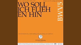 BWV 5  Wo soll ich fliehen hin 3 Arie Tenor  Ergiesse dich reichlich du göttliche Quelle [upl. by Bartko]