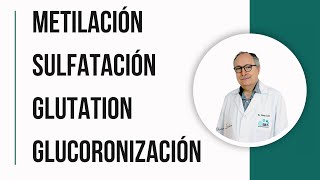 EFECTOS EN LA SALUD Metilación Sulfatación Glucoronización Glutation  Dr Domingo Pérez León [upl. by Balas]