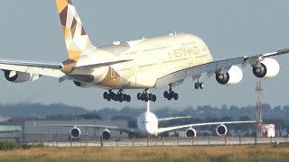 JFK Intl Airport Plane Spotting Part 1 All Heavies  2 Special Liveries A380 767 777 787 A350 [upl. by Saunderson]