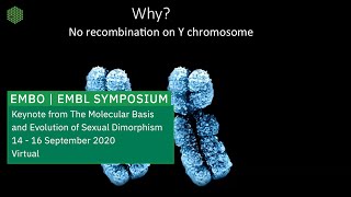 Keynote Lecture Tales of the Y Chromosome Heterochromatin Aging amp Meiotic Conflicts [upl. by Riffle]