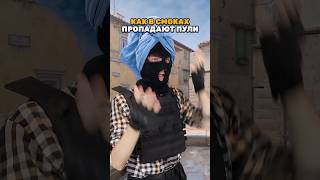 Смоки точно едят пули counterstrike ксго cs2 csgo [upl. by Romo]