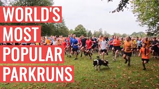 The MOST POPULAR parkruns In The WORLD [upl. by Ginsberg]