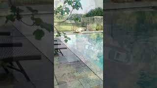 Aqua Pool Service for Pool Opening and Closing ingroundpool backyard pool [upl. by Hamlani420]