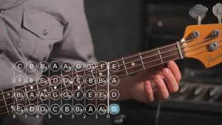 How to Play D ♯  E Flat Major Scale  Bass Guitar [upl. by Adnawt]