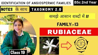 Rubiaceae Family ☕ Floral diagram and formulas  Taxonomy  Economic importance [upl. by Haeluj]