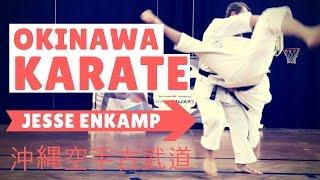 OKINAWA KARATE SEMINAR  Bunkai SelfDefense amp Kobudo — Jesse Enkamp [upl. by Alderson258]