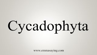 How To Say Cycadophyta [upl. by Paschasia442]