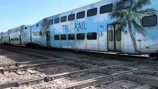 TriRail 501 and Trirail downtown shuttle horn battle [upl. by Friedrich968]