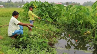 Fishing ✅️Big fish are being caught in village canal with hook and small fish bait Hook fishing [upl. by Idnis558]