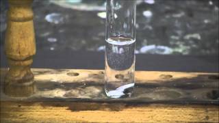 Aluminum metal reacts with concentrated sulfuric acid [upl. by Novoj778]