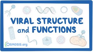 Viral Structure and Functions [upl. by Del792]