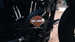 Harley Davidson Comercial Iron 883 vs Forty eight [upl. by Collen925]