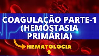 COAGULAÇÃO PARTE1 HEMOSTASIA PRIMÁRIA  HEMATOLOGIA  AULA 9 [upl. by Nemrac]