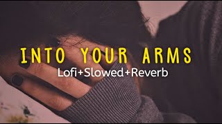 Into Your Arms Tonight— SlowedReverb [upl. by Sert]