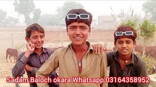 Allah ditta naj varga awaaz Jani 2024 new gane Baloch ki edit karne wala sadam Baloch [upl. by Dnalsor960]