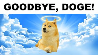 Doge Memes to Celebrate His Life [upl. by Enattirb919]