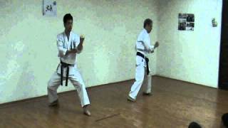 Shotokan Kata  Heian 15 amp Tekki 1 [upl. by Crist]