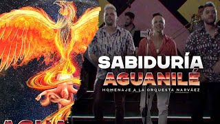 Sabiduría Aguanilé Salsa Homenaje A La Orquesta Narváez  Vídeo Oficial [upl. by Nyrmac]