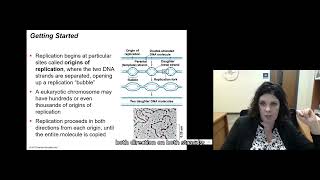 162 DNA Replication [upl. by Eenerb532]