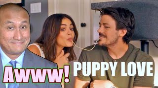 PUPPY LOVE Freevee Movie Review 2023 Starring Grant Gustin and Lucy Hale [upl. by Meadow]