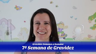 7ª Semana de gravidez [upl. by Carmelina]