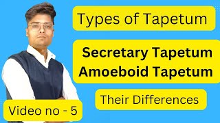 Types of Tapetum  Secretary TapetumAmoeboid Tapetum mirzafaizanbeg [upl. by Romito]