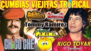 💃CUMBIAS VIEJITAS CLASICAS ✨ RIGO TOVARCHICO CHE ACAPULCO TROPICAL FITO OLIVARES XAVIER💚 [upl. by Peter228]