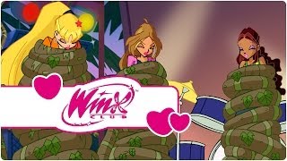 Winx Club  Serie 4 Episodio 18  La furia della natura clip2 [upl. by Muiram248]