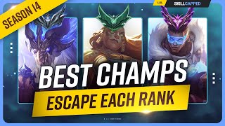 The 5 NEW BEST Champions to Climb for EVERY RANK  League of Legends [upl. by Bolte]