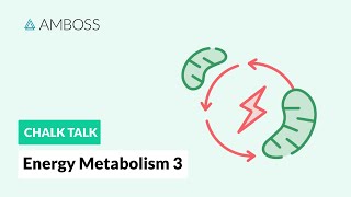 Energy Metabolism  Part 3 Regulation of Glycolysis [upl. by Nidroj]