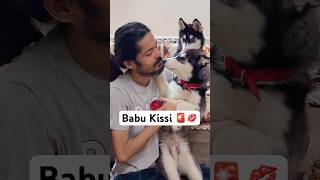 Problem with My Dogs 🚨 shorts dog husky trendingsongs honeysingh [upl. by Holloway701]