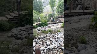 Dersim keşfet reels vlog dersim shorts video manzara munzur köy doğa aşk huzur orman [upl. by Seely717]