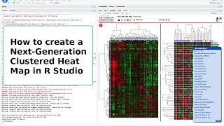 How to create NextGeneration Clustered Heat Maps in RStudio [upl. by Koralie708]