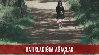 hatırladığım ağaçlar  hande doğandemir amp erdem kaynarca  handedoğandemir erdemkaynarca [upl. by Orest]