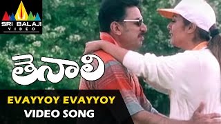 Thenali Songs  Evayyoy Evayyoy Video Song  Kamal Haasan Jyothika Meena  Sri Balaji Video [upl. by Haimaj927]