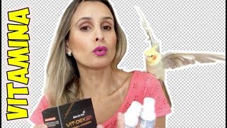 VITAMINAS PARA CALOPSITAS QUAL A MELHOR [upl. by Kulda644]