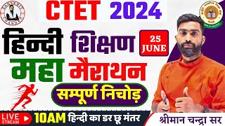 🎯 CTET July 2024  HINDI PEDAGOGY MARATHAN  HINDI PEDAGOGY FOR CTET  CTET PREVIOUS YEAR QUESTIONS [upl. by Sillsby]