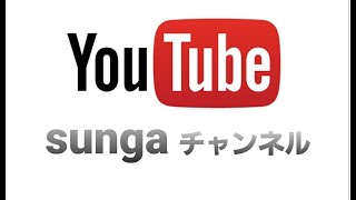 sungaチャンネル③和歌県山紀ノ川 散歩タムちゃん ハーレー事故 [upl. by Nosac]