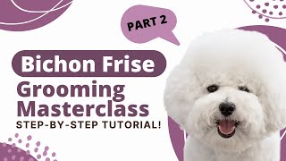 How to groom a Bichon Frise Part 2  The Dog House Pet Salon [upl. by Zurkow]