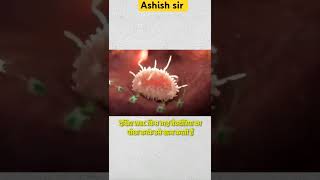 viralvideo ytshorts ytshort science study students stunt bloodstrike health healthy [upl. by Cartwright]