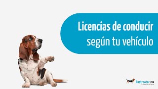 Tipos de Licencias de conducir según tu vehículo  Rastreatormx® [upl. by Marsland]