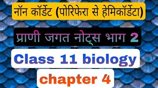 नॉन कॉर्डेट्स नोट्स part 2 Class11 biology Chapter 4 notes in hindi Animal kingdom [upl. by Hultgren776]