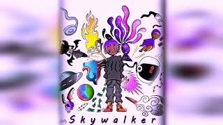 Lil Uzi Vert x Regalia Type Beat 2024  quotSkywalkerquot [upl. by Vilma]