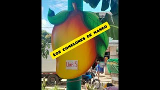 LOS COMELONES DE MANGO [upl. by Loria541]