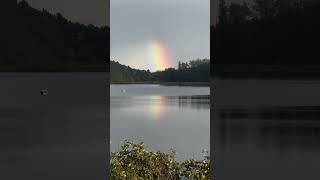 Regenbogen also ein Viertelbogen über dem Weiher [upl. by Ace]