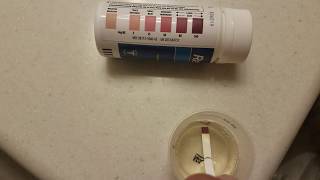 Keto test strips PART i [upl. by Vanda]