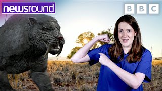 The Big Question Why do we get scared  Newsround [upl. by Ramsey]